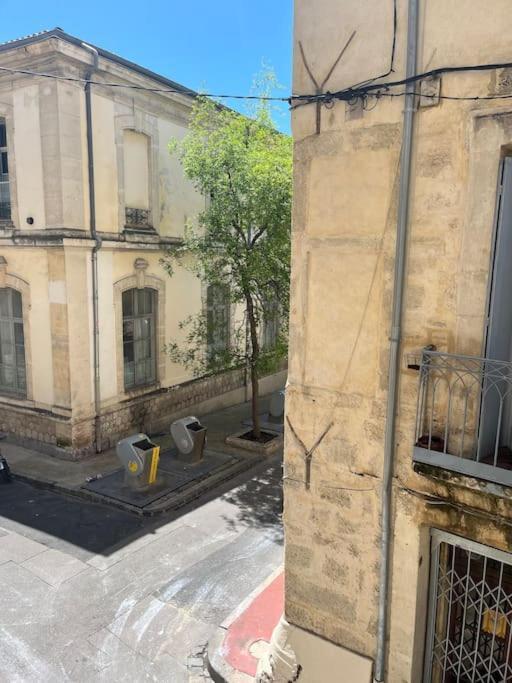Appartamento Cocon Ecusson Montpellier Esterno foto